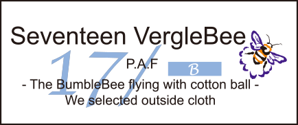 Seventeen VergleBee