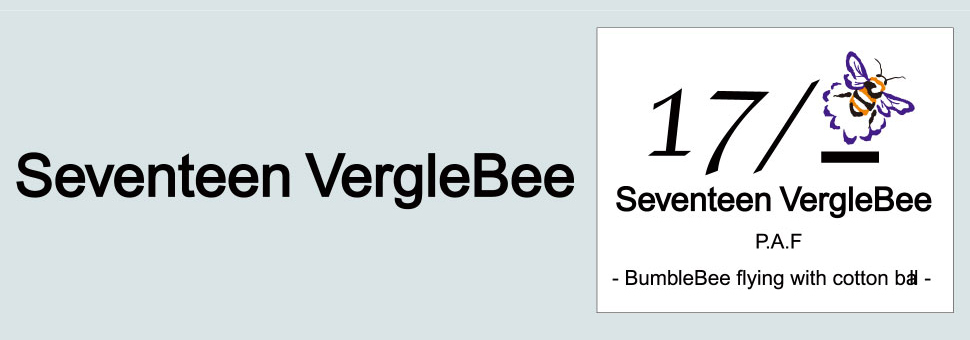 Seventeen VergleBee